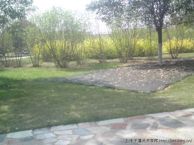 2010\04\08\155034254612189.jpg                                                                      